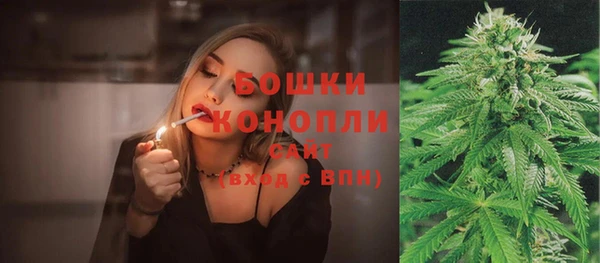 амф Кулебаки