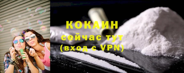 индика Куйбышев