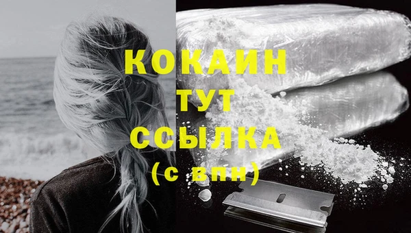 индика Куйбышев