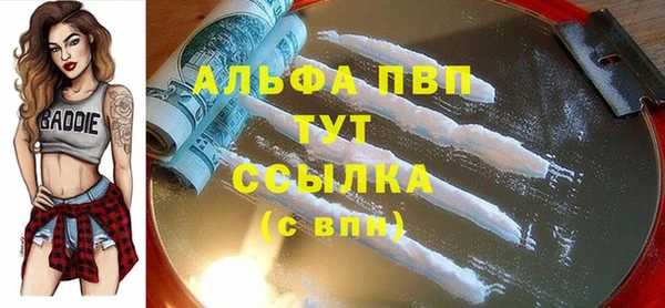 индика Куйбышев