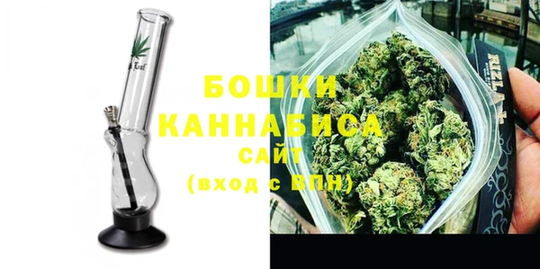 индика Куйбышев