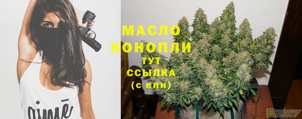 индика Куйбышев