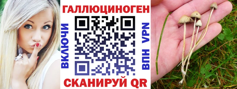 Купить где  Ревда  Галлюциногенные грибы Cubensis 