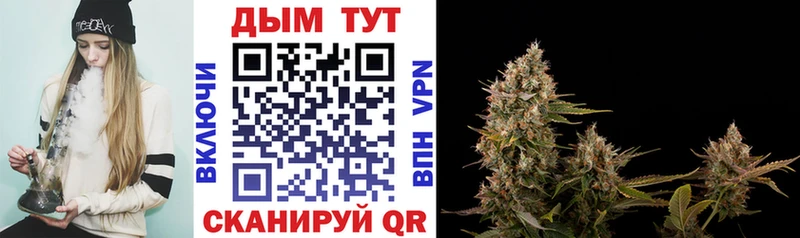 Канабис OG Kush  Купить закладки  Ревда 